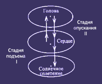 Активность сердечного центра