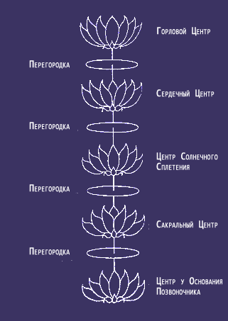 Перегородки между центрами